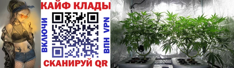 Купить наркотик Калязин Cocaine  Амфетамин  A-PVP  Канабис  ГАШ  Меф мяу мяу 